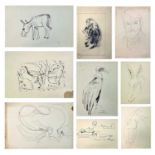 Sven BERLIN (1911-1999) A collection of loose drawings of animals and people. Some of which are