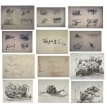 Sven BERLIN (1911-1999) Twelve pencil and wash illustrations for 'Animals in Splendour and