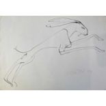 Sven BERLIN (1911-1999) Hare Ink drawing Signed and dated '79 42x60cm