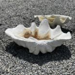 A white composition stone model of a clamshell 65cm x 40cm together with a slightly smaller
