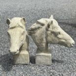 A pair of reconstituted stone models of horse heads on square plinths, height 61cm.
