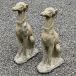 A pair of reconstituted church stone figures of French Lurchers, height 78cm.