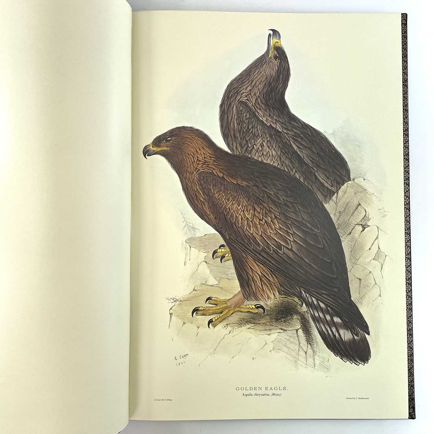 FOLIO SOCIETY SIGNED LIMITED EDITION. 'Illustrations of Birds Drawn for John Gould by Edward - Image 18 of 25