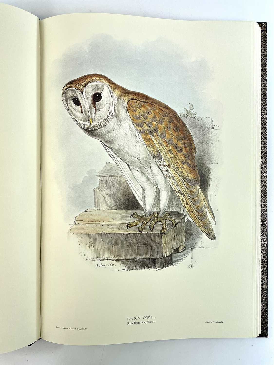 FOLIO SOCIETY SIGNED LIMITED EDITION. 'Illustrations of Birds Drawn for John Gould by Edward - Image 20 of 25