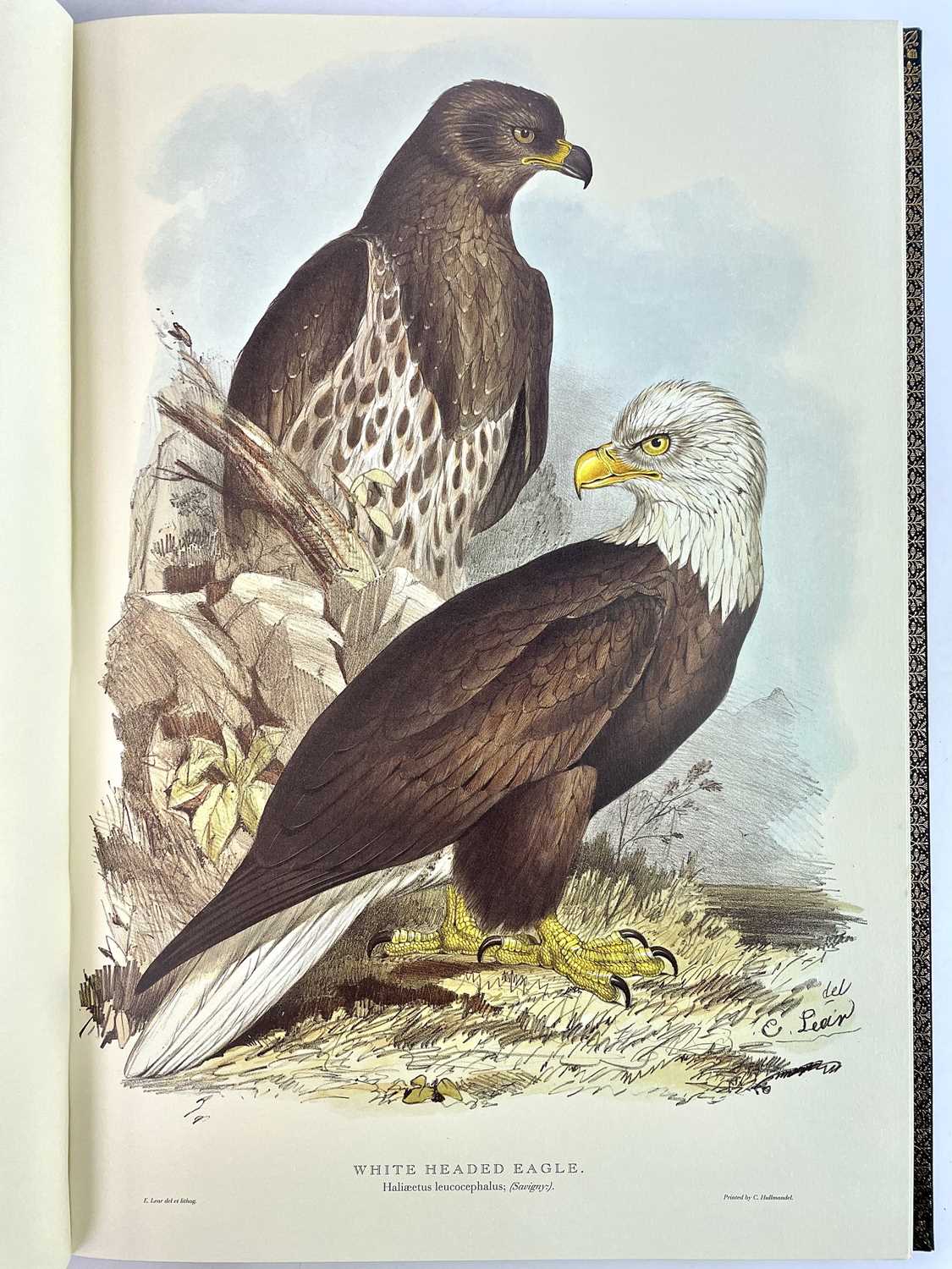 FOLIO SOCIETY SIGNED LIMITED EDITION. 'Illustrations of Birds Drawn for John Gould by Edward - Image 19 of 25