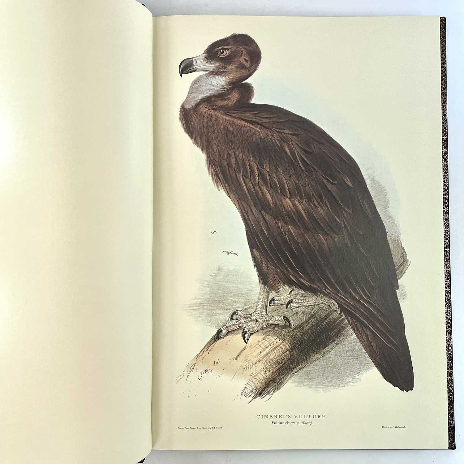 FOLIO SOCIETY SIGNED LIMITED EDITION. 'Illustrations of Birds Drawn for John Gould by Edward - Image 21 of 25