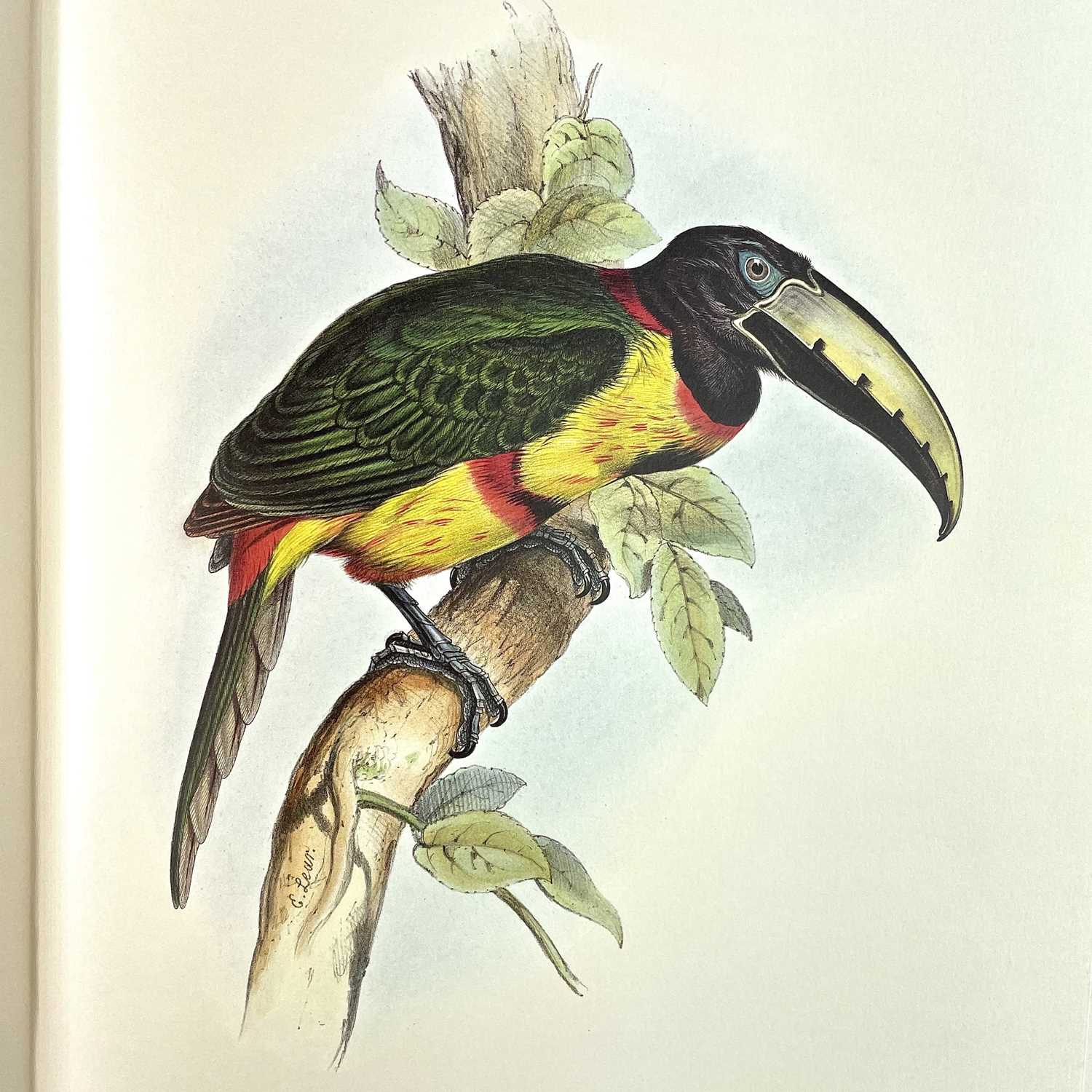 FOLIO SOCIETY SIGNED LIMITED EDITION. 'Illustrations of Birds Drawn for John Gould by Edward - Image 22 of 25