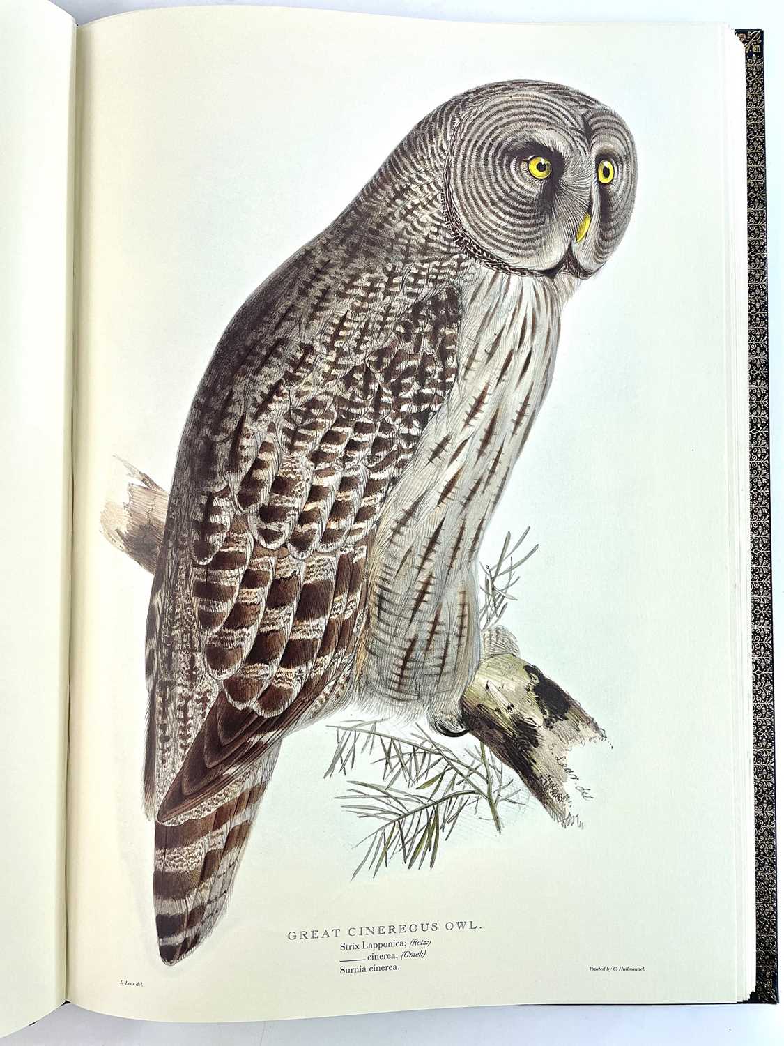 FOLIO SOCIETY SIGNED LIMITED EDITION. 'Illustrations of Birds Drawn for John Gould by Edward - Image 24 of 25