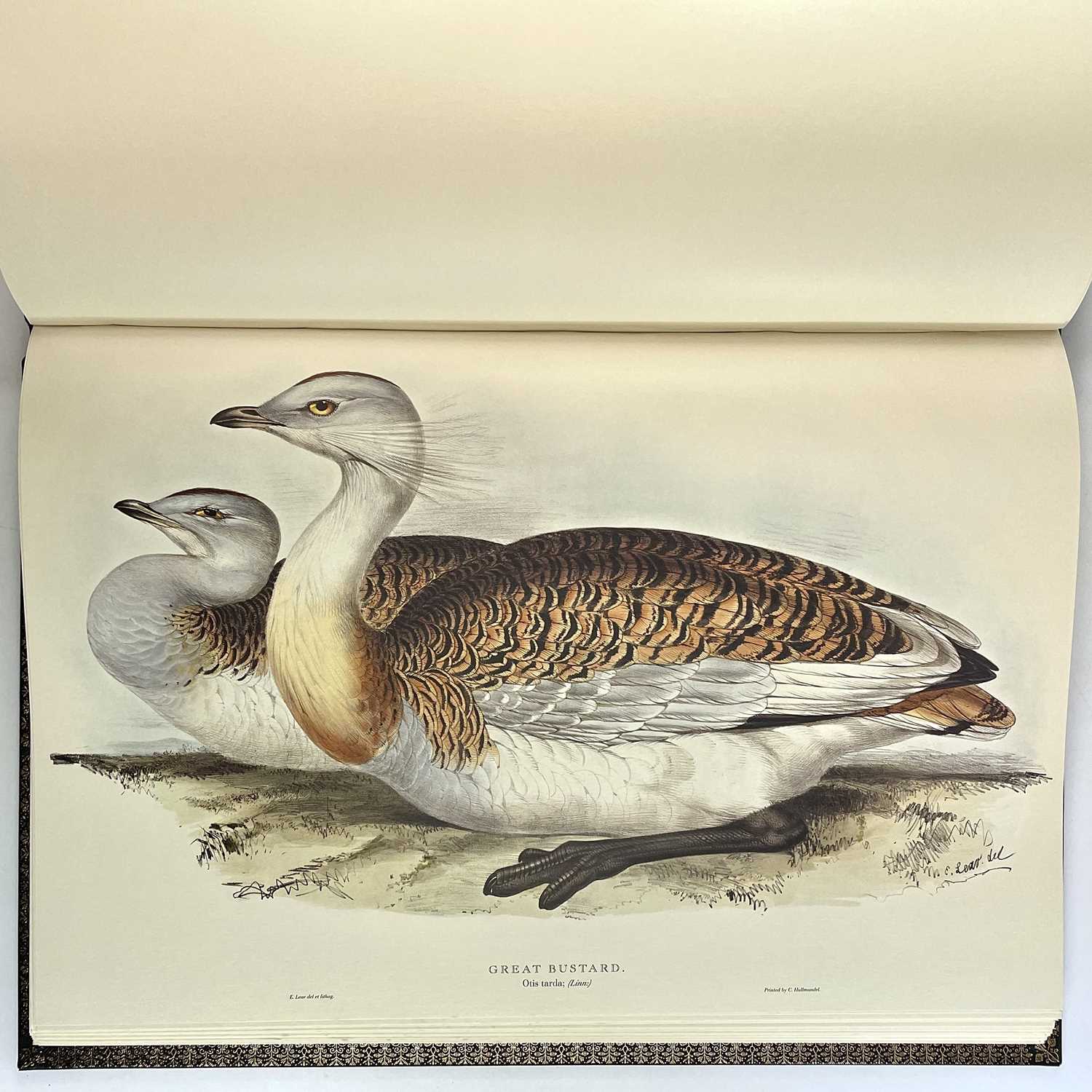 FOLIO SOCIETY SIGNED LIMITED EDITION. 'Illustrations of Birds Drawn for John Gould by Edward - Image 17 of 25