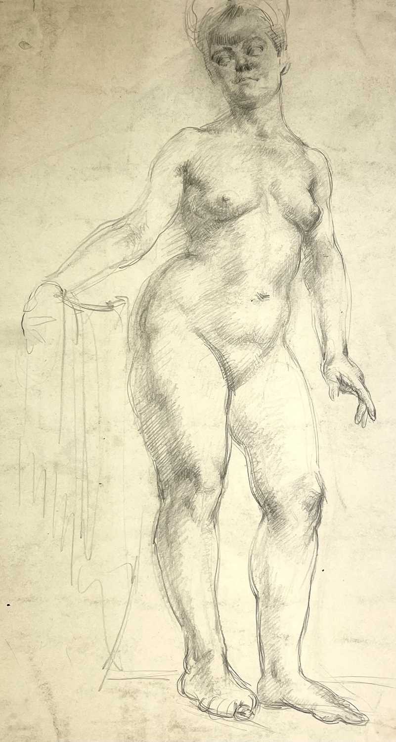 Constance Anne PARKER (1921-2016) Five early pastel/graphite life drawings, two signed and dated - Image 5 of 7