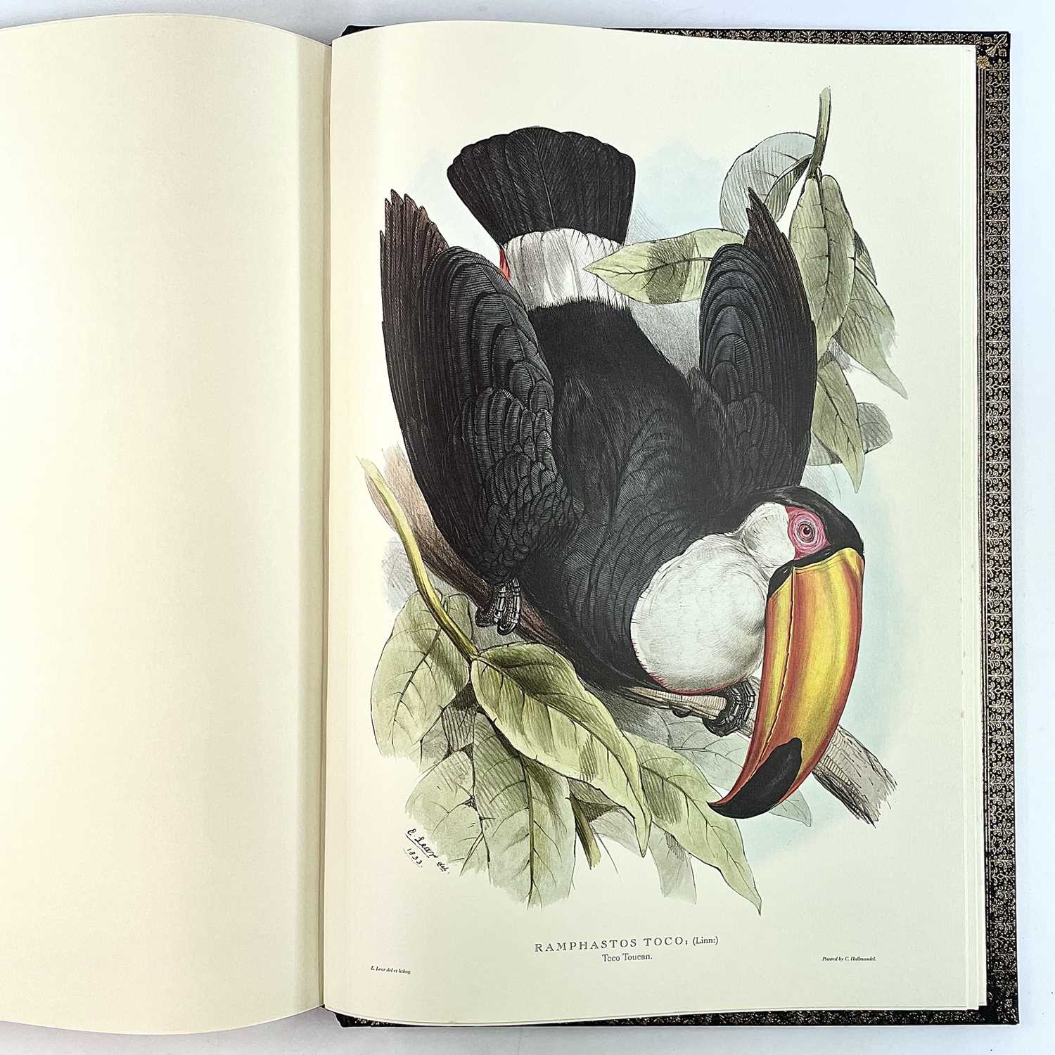 FOLIO SOCIETY SIGNED LIMITED EDITION. 'Illustrations of Birds Drawn for John Gould by Edward - Image 23 of 25