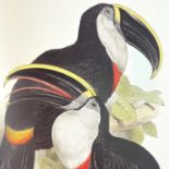 FOLIO SOCIETY SIGNED LIMITED EDITION. 'Illustrations of Birds Drawn for John Gould by Edward