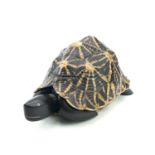 An Anglo-Indian turtle form trinket box, early 20th century, with star tortoiseshell cover and