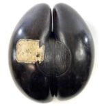 A polished Coco de Mer, length 33cm, with an attached old ink label 'Double Cocon.... (