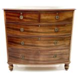 An early Victorian mahogany bow front chest of two short and three long drawers, with brass ring