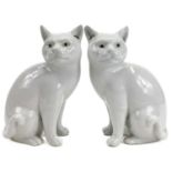 A pair of Chinese porcelain Blanc de chine cat's, late 20th century.
