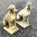 A pair of reconstituted stone figures of Pointer type dogs.