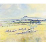 M McShane, oil on canvas signed, extensive landscape with sheep 50cm x 60cm
