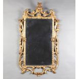 A Rococo style rectangular plate wall mirror contained in a carved gilt wood frame 92cm x 50cm