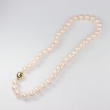 A string of cultured pearls with a 9ct yellow gold ball clasp, 18cm