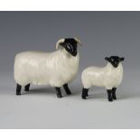 A Beswick black faced Sheep no.1765 modelled by Mr Garbet, black and white gloss 8.3cm together with