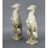 A pair of concrete garden figures of seated greyhounds 74cm h