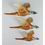 A set of 3 Beswick pheasant wall plaques 661/1, 661/2 and 661/3