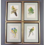19th Century coloured book plates "West African Love Bird, Yellow Rumped Parakeet, Splendid Parakeet