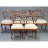 A set of 6 Victorian mahogany balloon back dining chairs with shaped mid rails and drop in seats,