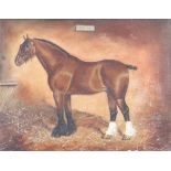 G M Hill, oil on canvas signed, study of a horse in a stable "General" 35cm x 44cm There are