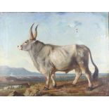 C.M. Gerlach Quaedvlieg, oil on canvas indistinctly signed, portrait of a standing bull with distant