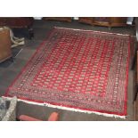 A red and white ground Bokhara carpet with 161 octagons to the centre 351cm x 270cm