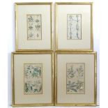 Four hand coloured engravings depicting a series of botanical illustrations, labelled under. Largest