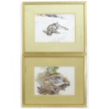 Two watercolours one depicting a dead rabbit in the snow, the other a partridge. Both ascribed