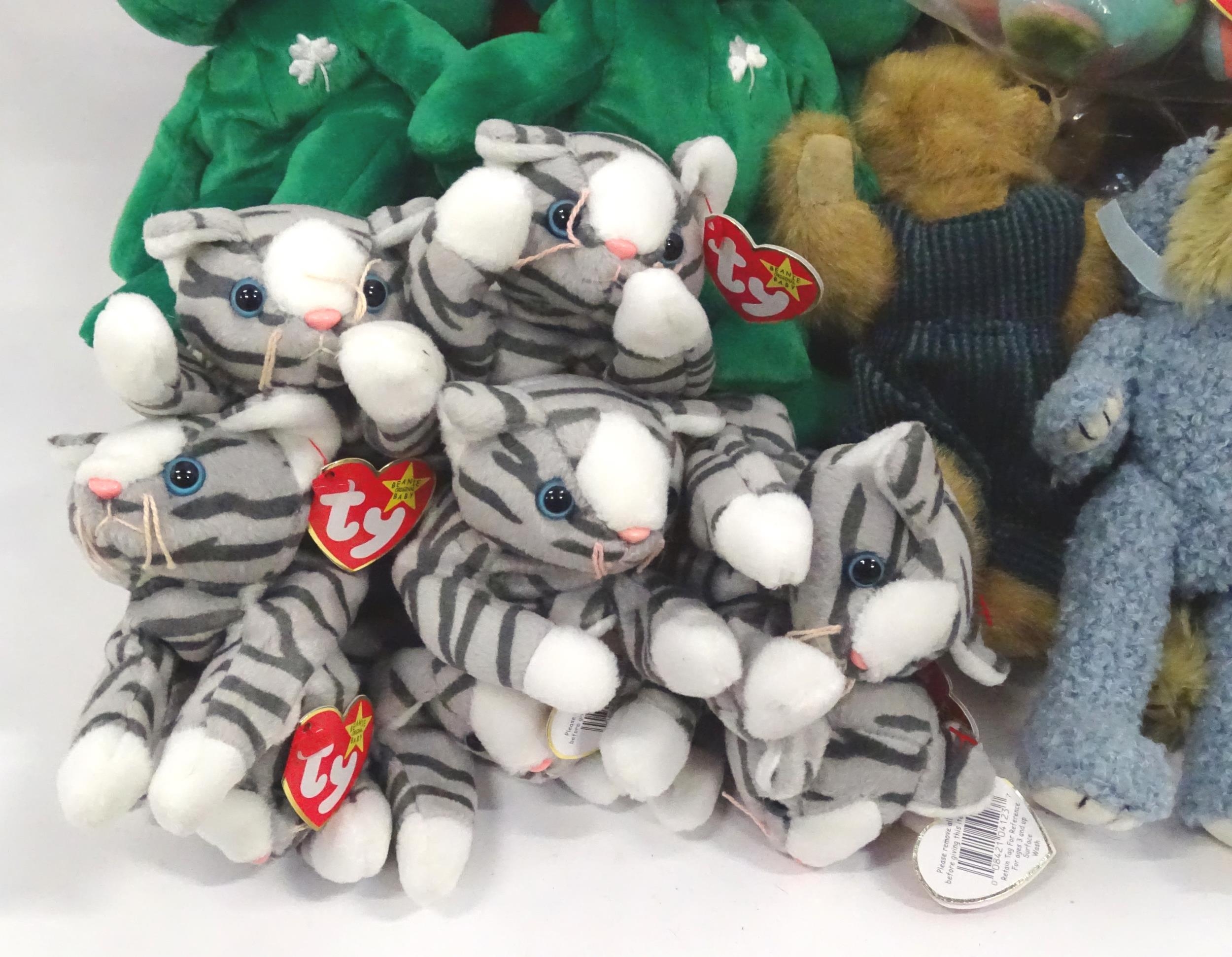 A large quantity of TY Beanie Baby soft toys to include puffins, cats, birds, bears, sheep, cows, - Bild 7 aus 23