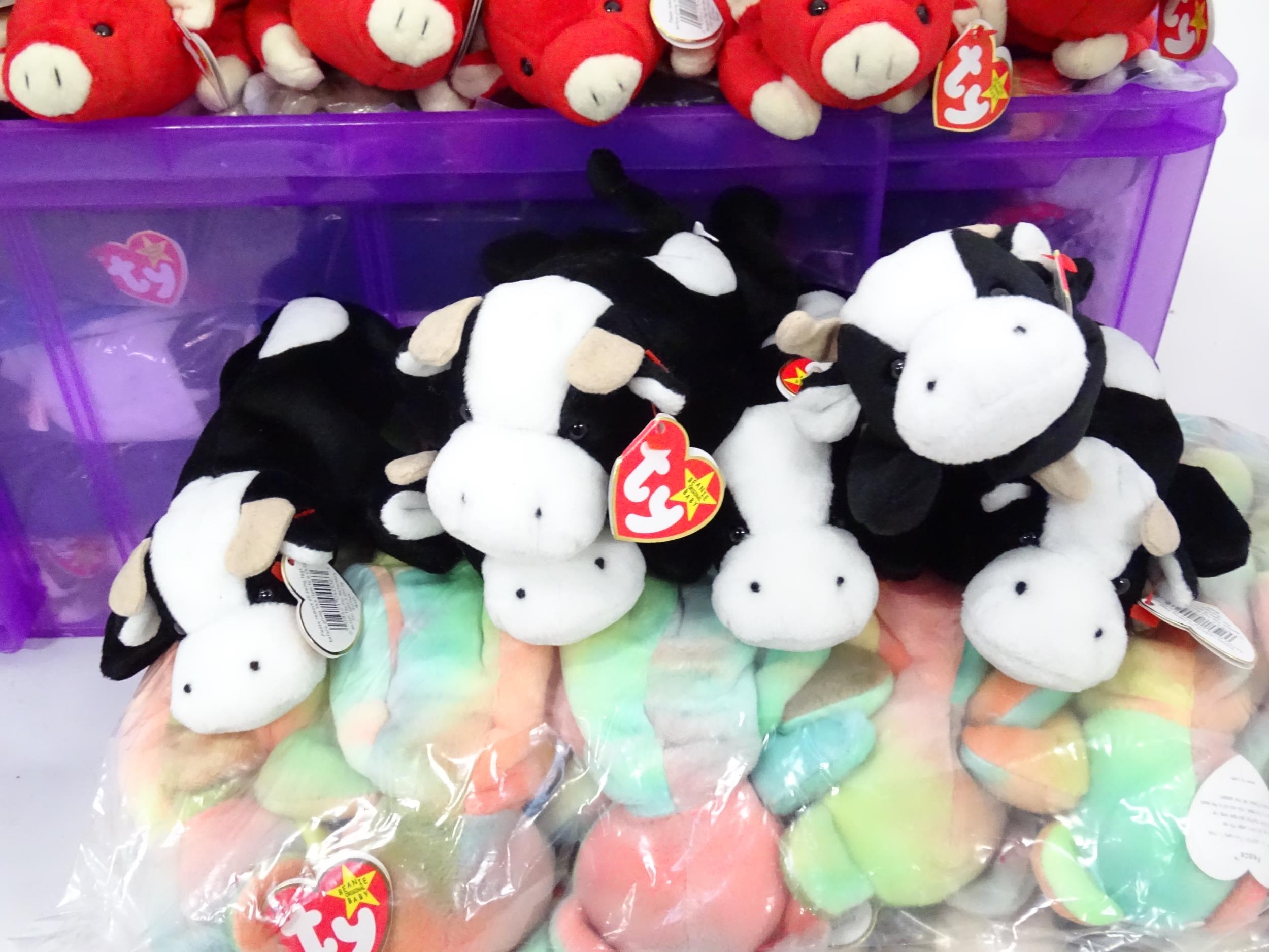 A large quantity of TY Beanie Baby soft toys to include puffins, cats, birds, bears, sheep, cows, - Bild 21 aus 23