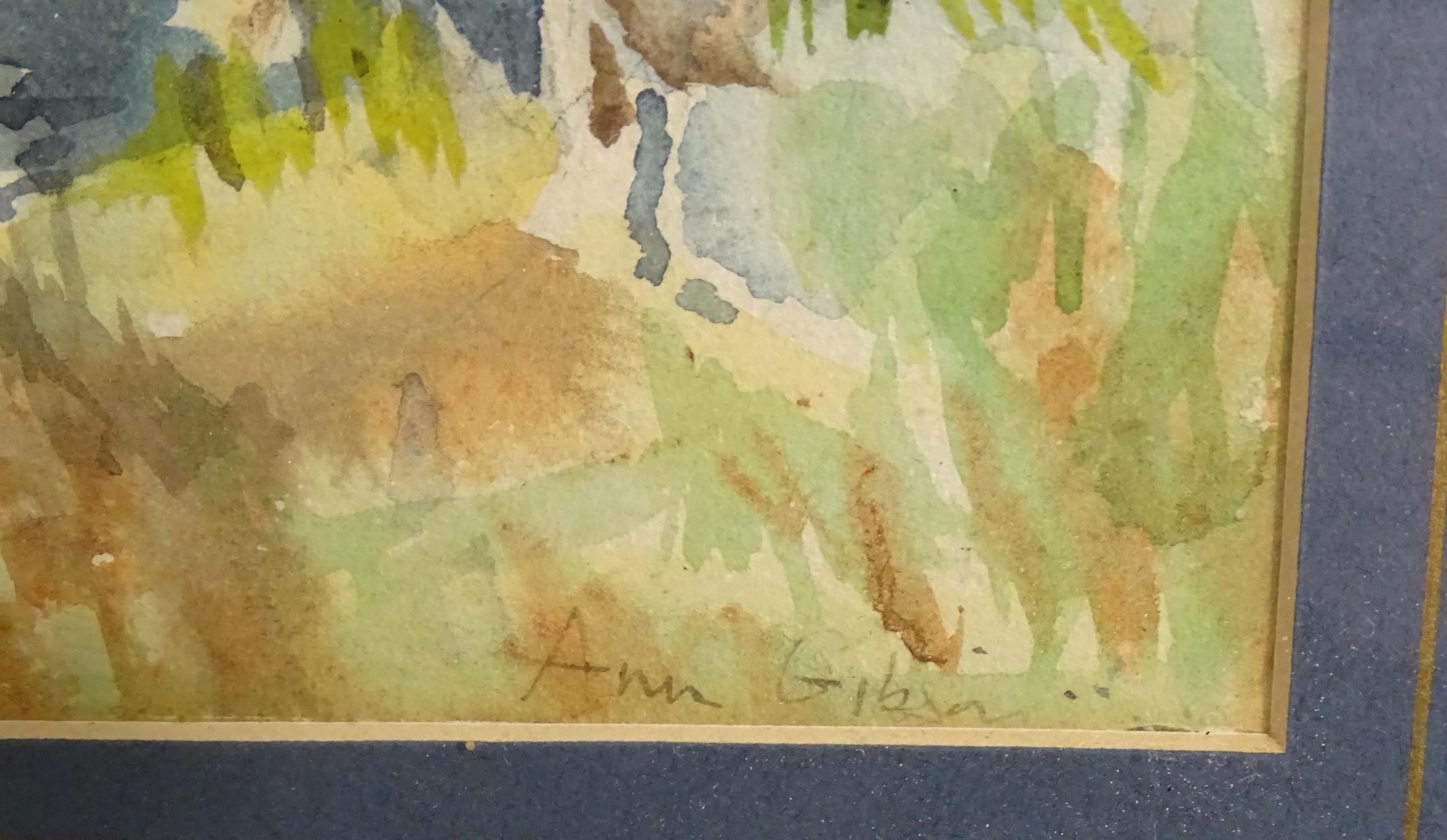 Ann Gibson, 20th century, Watercolour, The Banyan Tree, near Port Louis, Mauritius. Signed lower - Image 4 of 4