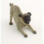 A cold painted bronze model of a dog, possibly a pug. Approx. 4 3/4" long Please Note - we do not