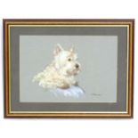 Calvez, 20th century, English School, Pastel on paper, A portrait of a West Highland White Terrier