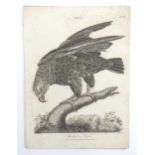 After J. Pass, 19th century, Two copper engravings, The Griffard Eagle, and the Boatman; and The