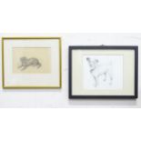 Two pencil drawings of dogs, one depicting a jack russell terrier, signed Luci, the other a