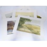 Five assorted unframed signed limited edition landscape prints to include Morning Mist, no. 22/200