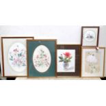 Five watercolours depicting flowers to include Mrs Gale's Roses, by M. Wrigglesworth, and some