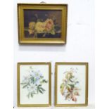 Three still life pictures comprising an oil on canvas depicting roses, a watercolour of passion