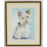 20th century, Canine School, Watercolour, A portrait of a West Highland white terrier / Scottie