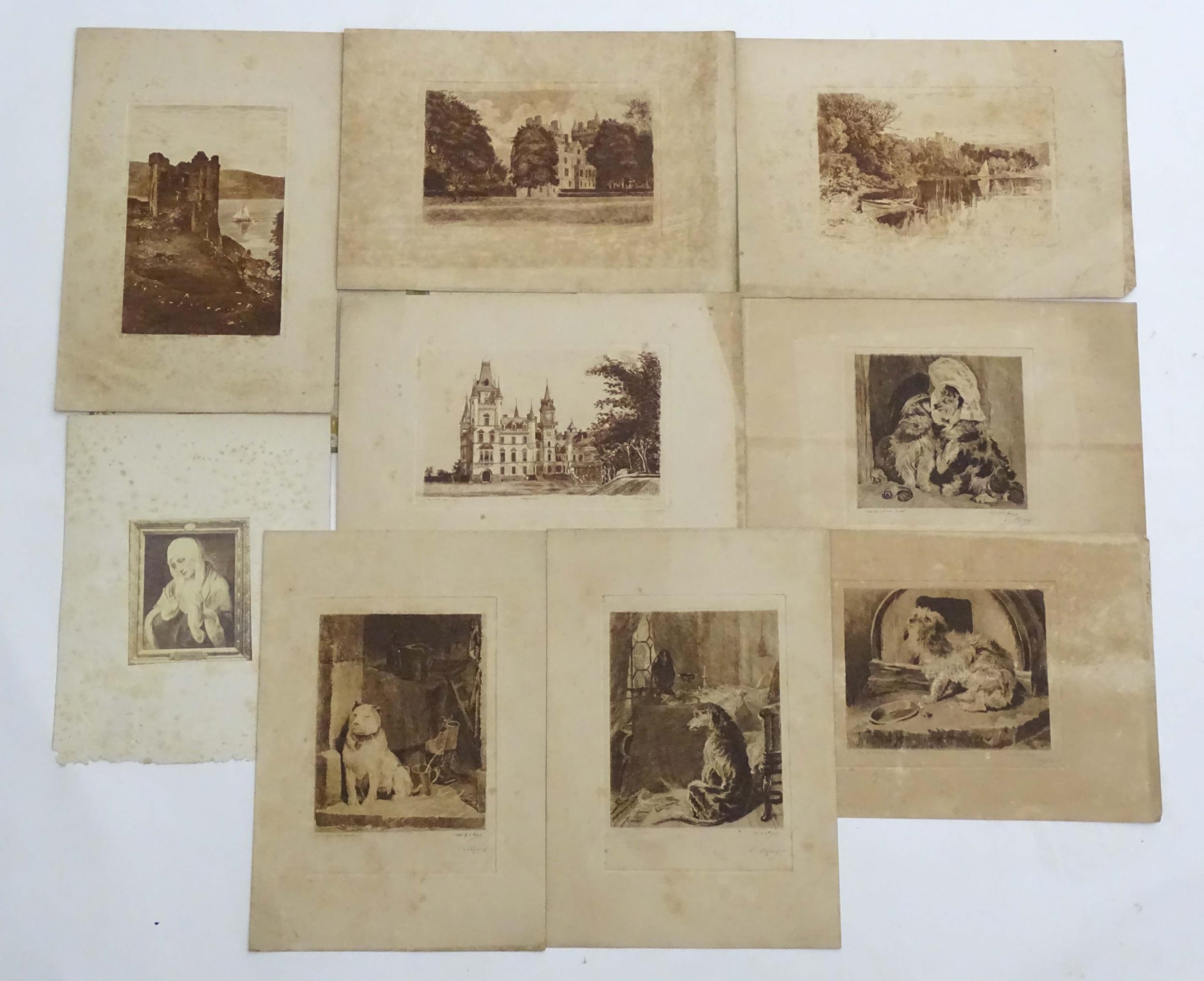 S. Myers after Sir Edwin Henry Landseer (1807-1873), 19th century, Four etchings depicting dogs to - Image 5 of 20