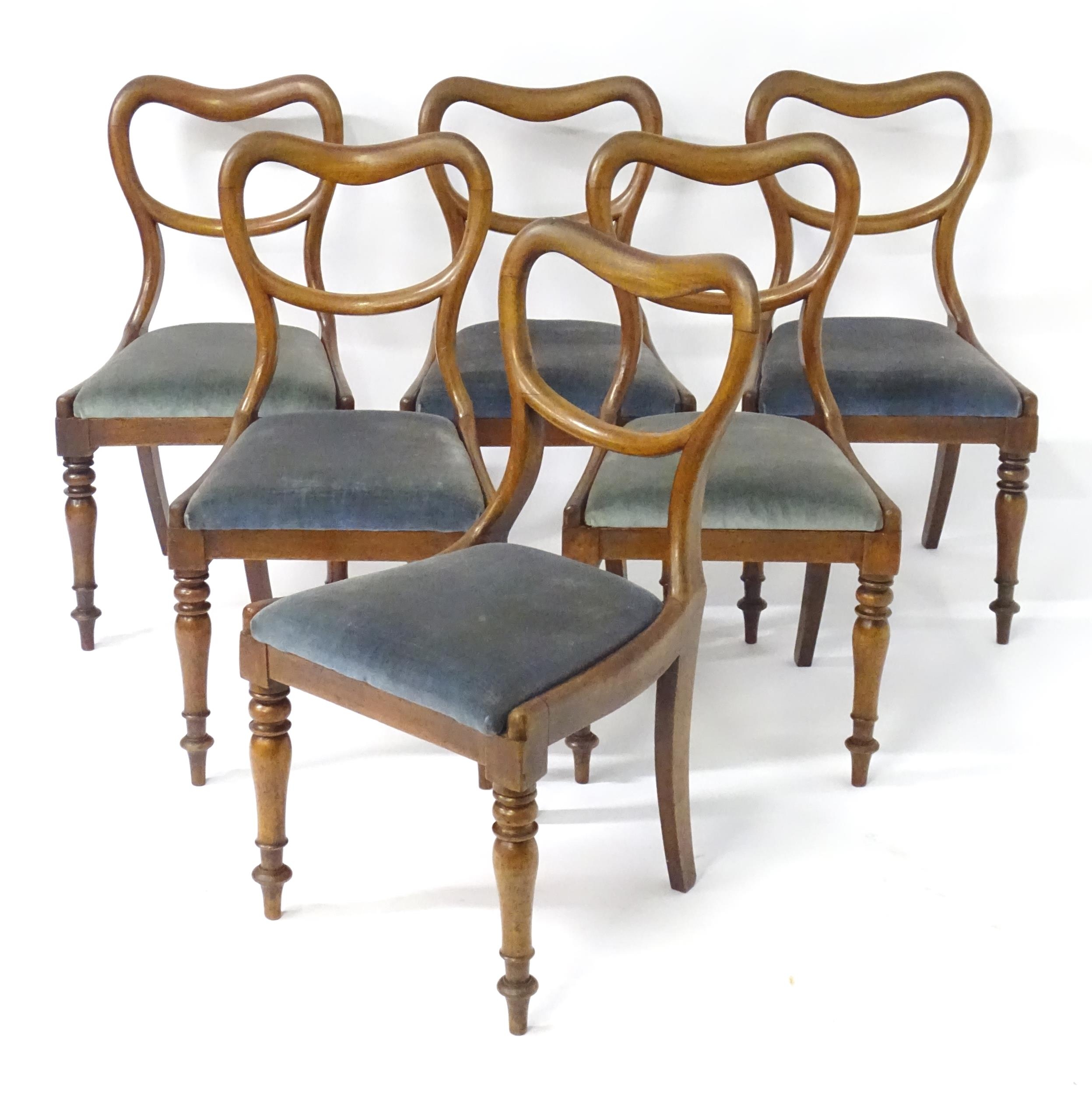 A set of six mahogany balloon back dining chairs with drop in seats above turned tapering front legs - Bild 3 aus 4