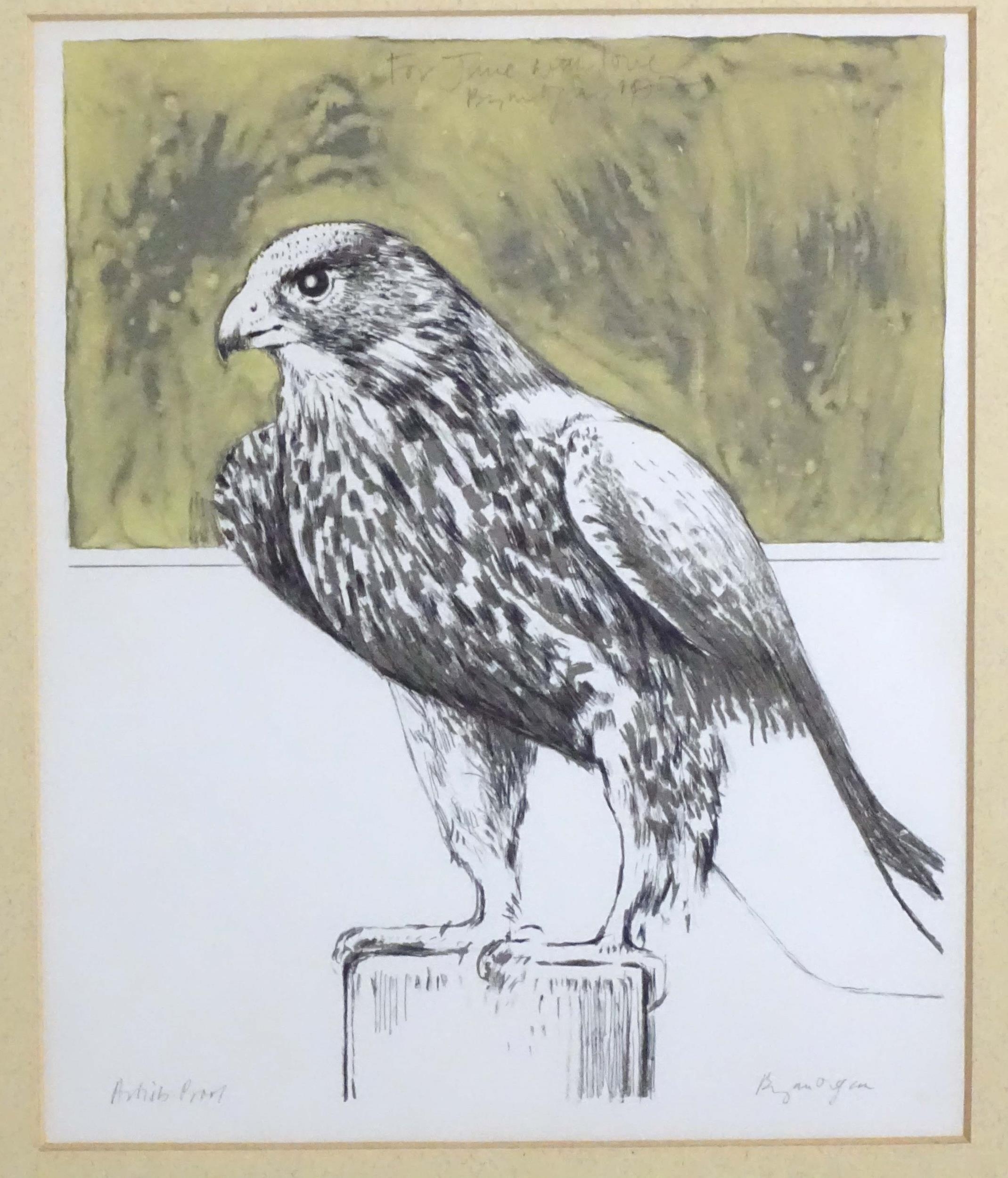 Bryan Organ (b. 1935), Limited edition lithograph / artist's proof, Hawk. Signed in pencil under and - Image 3 of 6