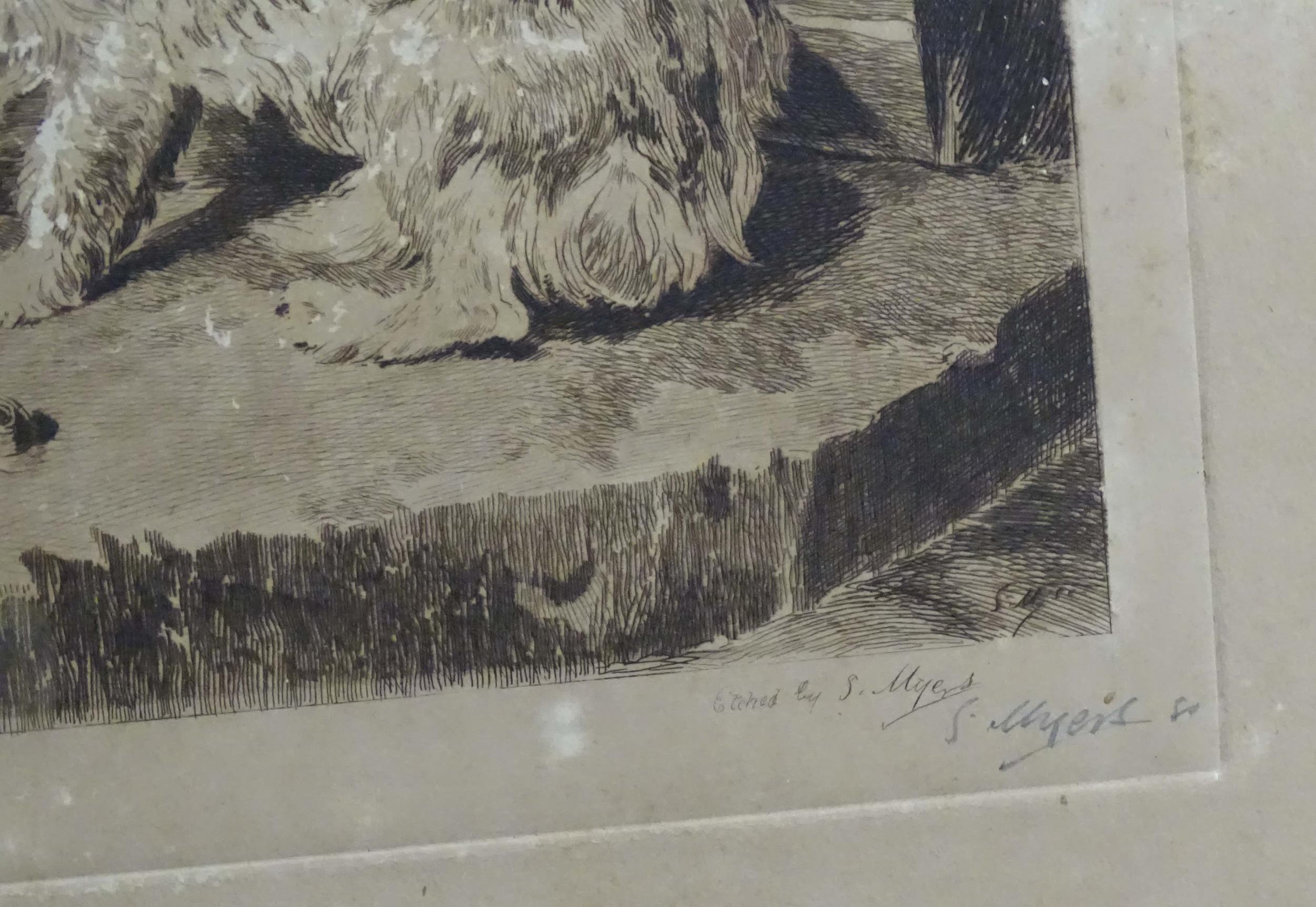 S. Myers after Sir Edwin Henry Landseer (1807-1873), 19th century, Four etchings depicting dogs to - Image 17 of 20