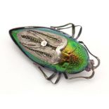 A beetle brooch with white metal mounts, red stone eyes and filigree detail. 2 1/4" long Please Note